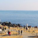 대왕암공원 이미지