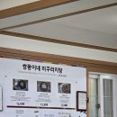 쌍둥이네미꾸라지탕 | 횡성 쌍둥이네 미꾸라지탕 | 현지인만 아는 진한 보양식, 40년 노포의 맛