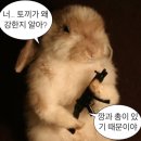 (주)아치베이커리 이미지