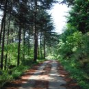 금동회관 이미지