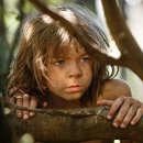 URBAN TREE 39 이미지