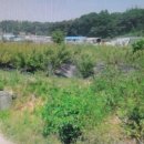 가학농장 이미지