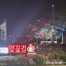 2024-03-0062 - 완주군 | 2024-03-0062