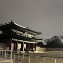 명동행정여행사 트레벌데일리