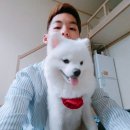 돌리샵 이미지