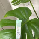 위즈코퍼레이션 이미지