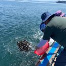 경상남도수산자원연구소 이미지