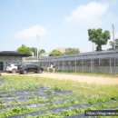 북로농장 이미지