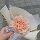 스완즈에그 이미지