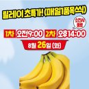 신교하