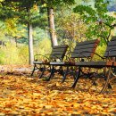 가을의 벤치.... 이미지
