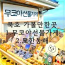 동해상사고속(주) | 강원도 동해 묵호 소품샵 투어 묵호역 묘한동해 묵호등대 무코야선물가게