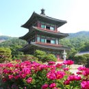 진천읍 보련마을~보탑사주차장 이미지