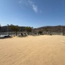 오독오독 반려견유치원 네이버블로그