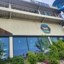 떡실신 | 김포 애견카페 도그캠프 김포점 댕댕이 떡실신 후기