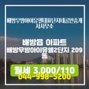 단지내공인중개사사무소 | 배방읍 월세 3,000/110 - 배방우방아이유쉘대표단지내공인중개사사무소
