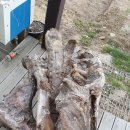 느티농원 이미지