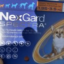 마리온누리약국 이미지