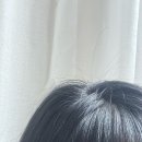 바디팩토리 3호점 | 미용실롤빗, 제이끌레르 롤빗 5호 후기