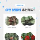 멀티몬스터