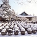 고향부동산중개사무소 이미지