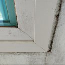 이진캐스빌블루1차 이미지