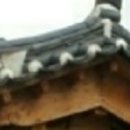 청량김치 이미지