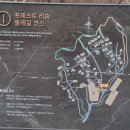 보네헤브 | 2025.04.08-04.14 제천 포레스트리솜, 탐폰 후기