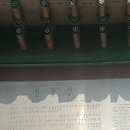 선충사 이미지