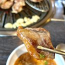 낙동생오리 내당점 이미지