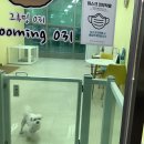 그루밍031 이미지