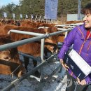 한우 뱅크축산 이미지