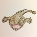 나야아구 이미지