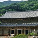 서시루아 이미지