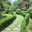 솔빛마을 이미지