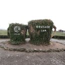 아름드리대리점 이미지