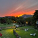 시원애견 이미지