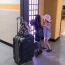 하비함미 이미지