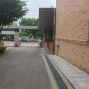 서판교로74번길 네이버블로그