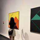 SeMA 서울시립미술관 : 유영국 <산은 내 안에 있다> 색으로 산을 짓는 화가_RM 소장품 관람후기(무료)