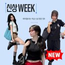 윤문진어반뷰티하우스 | 에이블리 신상위크 총 정리 할인쿠폰부터 단독상품까지 프로예민러 신상 쇼핑몰 추천
