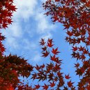 뒷구미 어린이공원 이미지