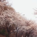 세븐일레븐 평택은혜로점 이미지