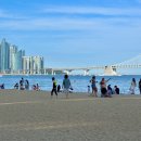 화영언니샵 | [부산 1박2일] 혼자 다녀온 부산 일기