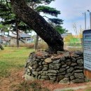 황산토종정육식당 이미지