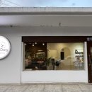 벨루스독 이미지