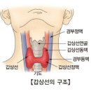 갑상선 기능 저하증 증상 이미지