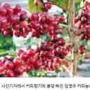 명성FMC