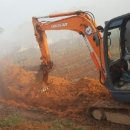 춘수농장 이미지