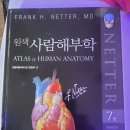 이강섭헬스클리닉 이미지